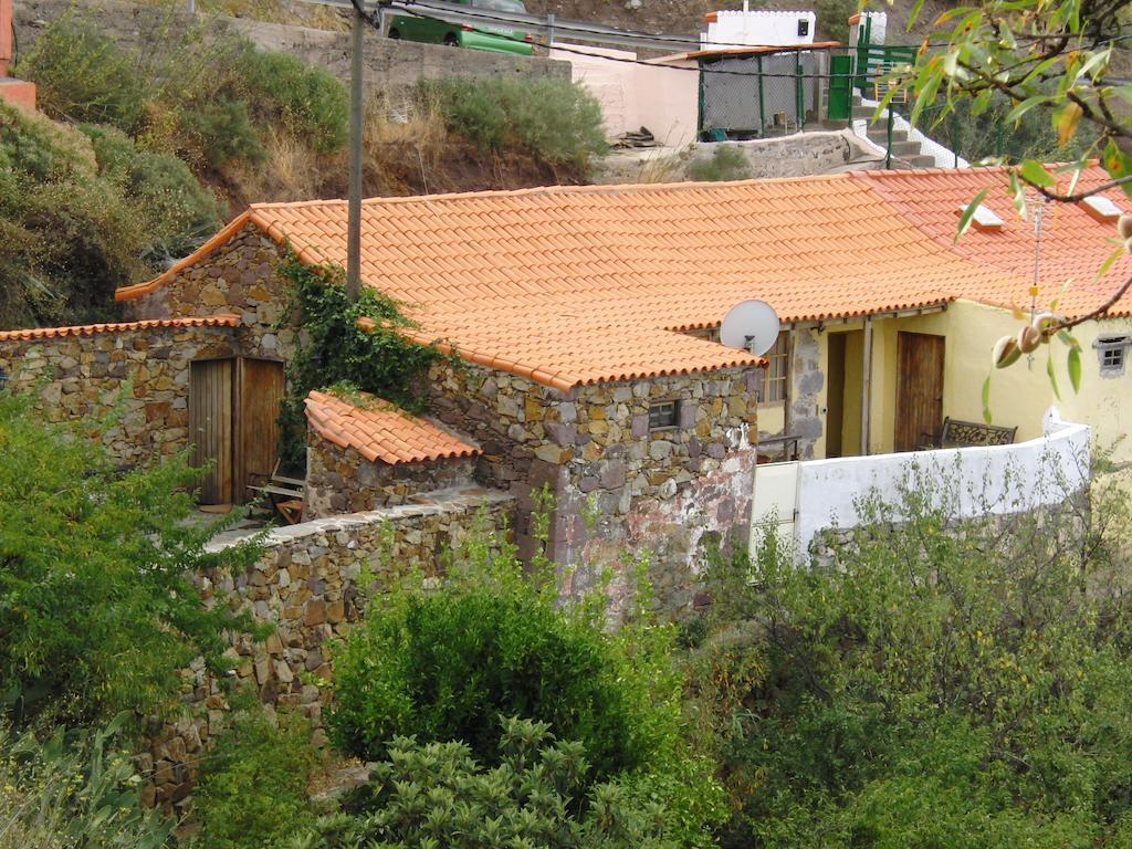 Casa Rural - Laendliches Haus, Pepita La De Las Flores Техеда Екстериор снимка