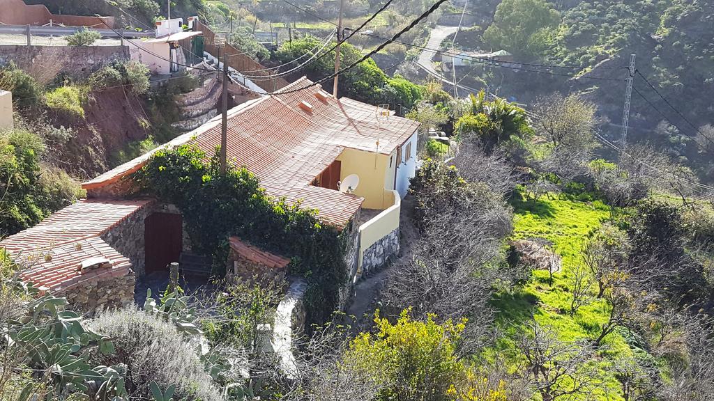 Casa Rural - Laendliches Haus, Pepita La De Las Flores Техеда Екстериор снимка