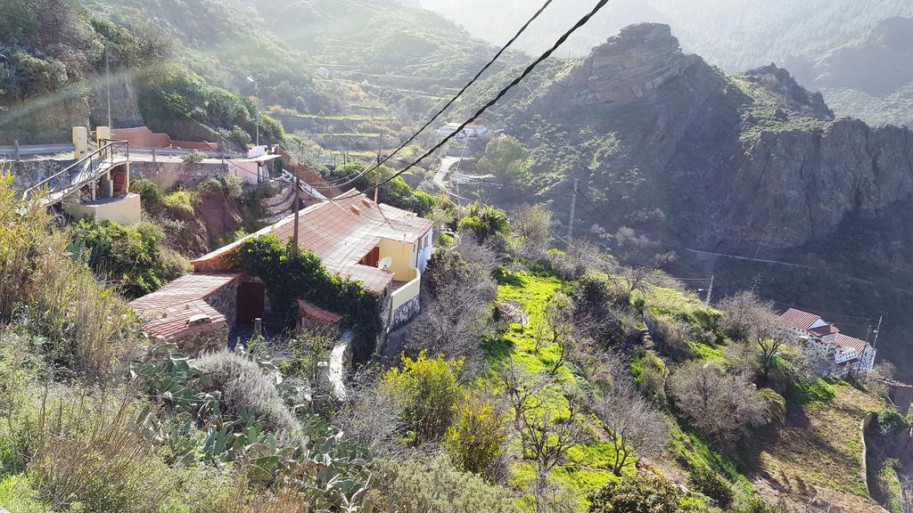 Casa Rural - Laendliches Haus, Pepita La De Las Flores Техеда Екстериор снимка