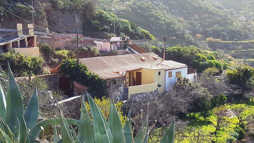 Casa Rural - Laendliches Haus, Pepita La De Las Flores Техеда Екстериор снимка