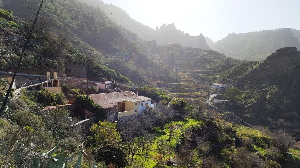Casa Rural - Laendliches Haus, Pepita La De Las Flores Техеда Екстериор снимка