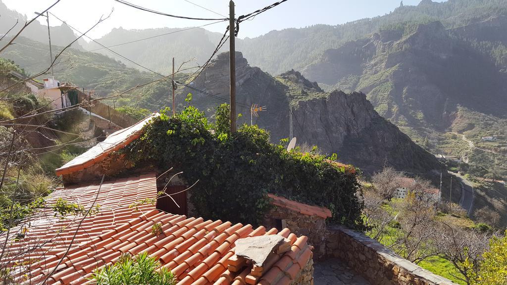 Casa Rural - Laendliches Haus, Pepita La De Las Flores Техеда Екстериор снимка