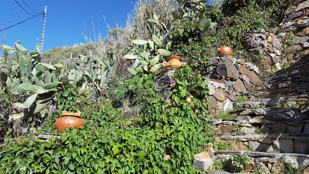 Casa Rural - Laendliches Haus, Pepita La De Las Flores Техеда Екстериор снимка