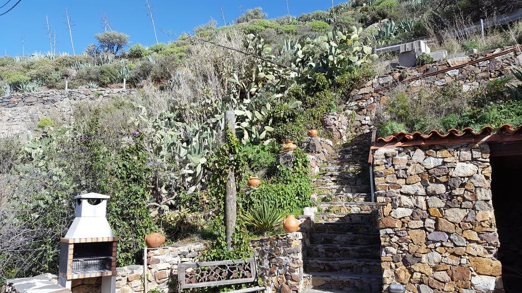 Casa Rural - Laendliches Haus, Pepita La De Las Flores Техеда Екстериор снимка