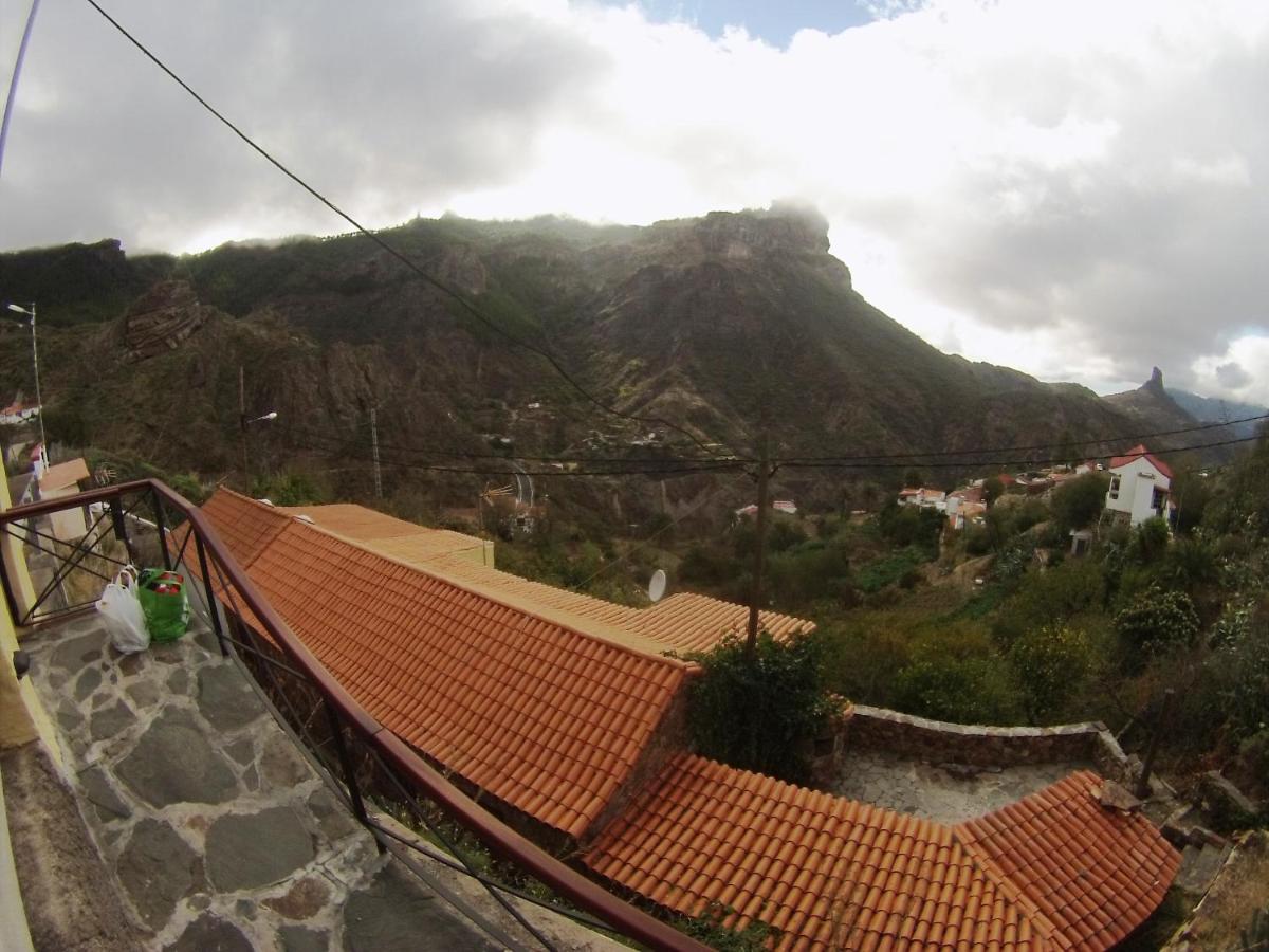 Casa Rural - Laendliches Haus, Pepita La De Las Flores Техеда Екстериор снимка